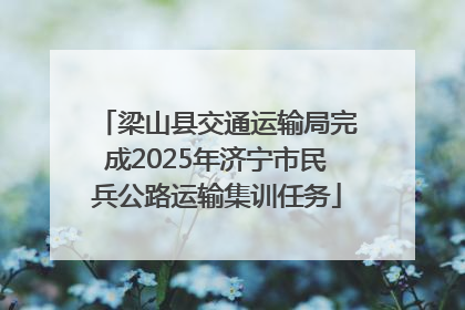 梁山县交通运输局完成2025年济宁市民兵公路运输集训任务