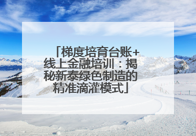 梯度培育台账+线上金融培训：揭秘新泰绿色制造的精准滴灌模式