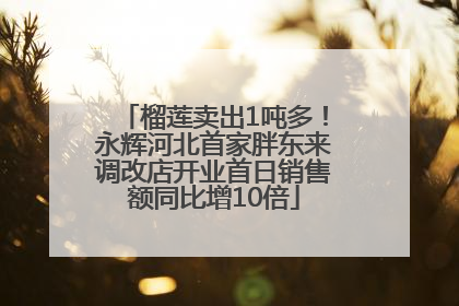 榴莲卖出1吨多！永辉河北首家胖东来调改店开业首日销售额同比增10倍