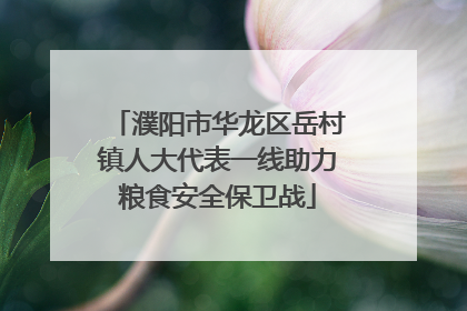 濮阳市华龙区岳村镇人大代表一线助力粮食安全保卫战