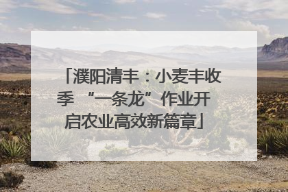 濮阳清丰：小麦丰收季 “一条龙”作业开启农业高效新篇章