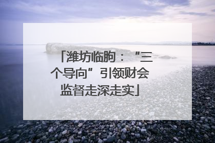 潍坊临朐：“三个导向”引领财会监督走深走实
