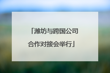 潍坊与跨国公司合作对接会举行
