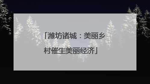 潍坊诸城：美丽乡村催生美丽经济