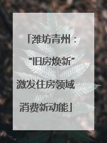 潍坊青州：“旧房焕新”激发住房领域消费新动能