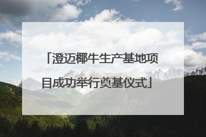 澄迈椰牛生产基地项目成功举行奠基仪式