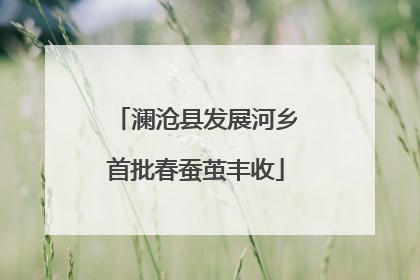 澜沧县发展河乡首批春蚕茧丰收
