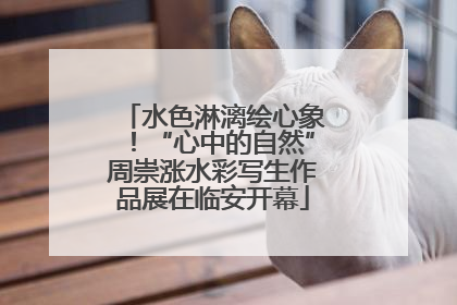 水色淋漓绘心象！“心中的自然”周崇涨水彩写生作品展在临安开幕