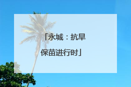 永城：抗旱保苗进行时