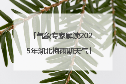 气象专家解读2025年湖北梅雨期天气