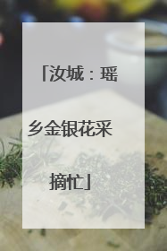 汝城：瑶乡金银花采摘忙