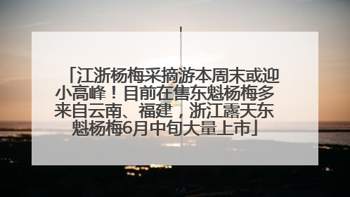 江浙杨梅采摘游本周末或迎小高峰！目前在售东魁杨梅多来自云南、福建，浙江露天东魁杨梅6月中旬大量上市