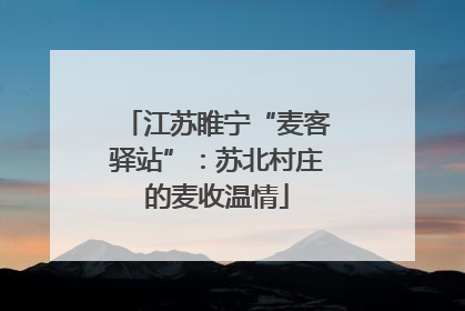 江苏睢宁“麦客驿站”：苏北村庄的麦收温情