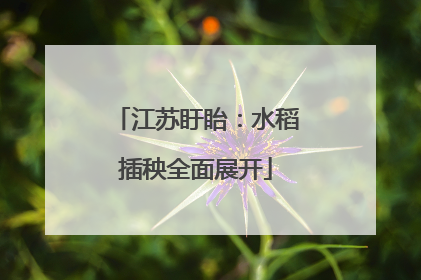 江苏盱眙：水稻插秧全面展开