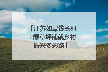 江苏如皋钱长村：绿草坪铺就乡村振兴多彩路