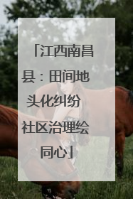 江西南昌县：田间地头化纠纷 社区治理绘同心