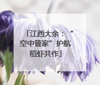 江西大余：“空中管家”护航稻虾共作