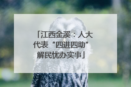江西金溪：人大代表“四进四助”解民忧办实事