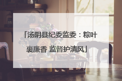 汤阴县纪委监委：粽叶裹廉香 监督护清风