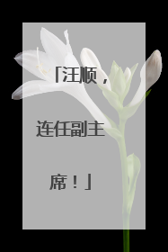 汪顺，连任副主席！