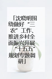 沈晓明围绕做好“三农”工作、推进乡村全面振兴开展“十五五”规划专题调研