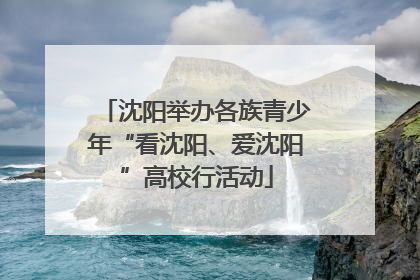 沈阳举办各族青少年“看沈阳、爱沈阳”高校行活动