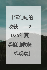 沉甸甸的收获——2025年夏季粮油收获一线观察
