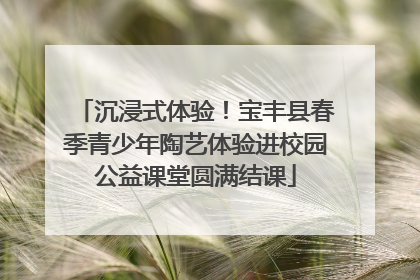 沉浸式体验！宝丰县春季青少年陶艺体验进校园公益课堂圆满结课