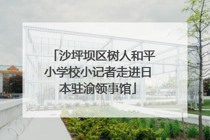 沙坪坝区树人和平小学校小记者走进日本驻渝领事馆