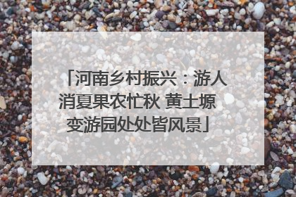 河南乡村振兴：游人消夏果农忙秋 黄土塬变游园处处皆风景