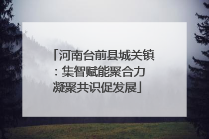 河南台前县城关镇：集智赋能聚合力 凝聚共识促发展