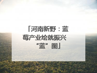 河南新野：蓝莓产业绘就振兴“蓝”图