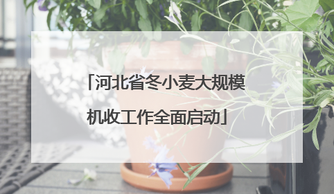 河北省冬小麦大规模机收工作全面启动