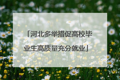 河北多举措促高校毕业生高质量充分就业