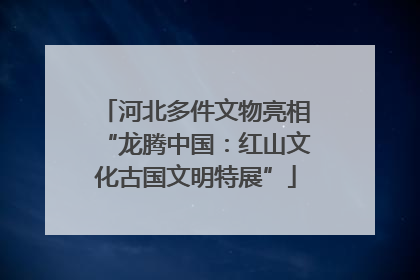 河北多件文物亮相“龙腾中国：红山文化古国文明特展”