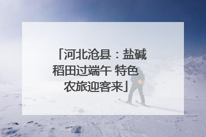 河北沧县：盐碱稻田过端午 特色农旅迎客来