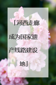 河西走廊成为国家遗产线路建设地