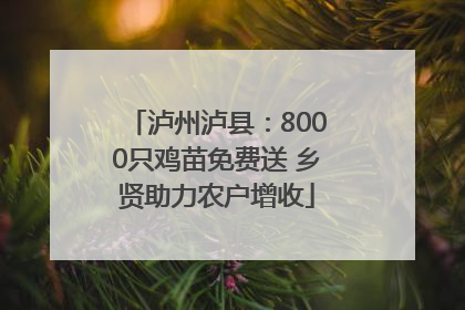 泸州泸县：8000只鸡苗免费送 乡贤助力农户增收