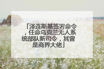 泽连斯基签署命令，任命乌克兰无人系统部队新司令，其曾是商界大佬