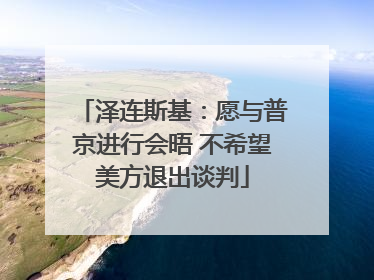 泽连斯基：愿与普京进行会晤 不希望美方退出谈判