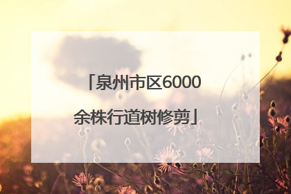 泉州市区6000余株行道树修剪