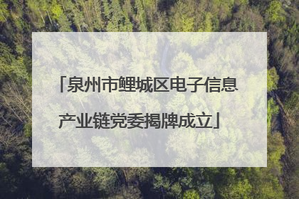 泉州市鲤城区电子信息产业链党委揭牌成立