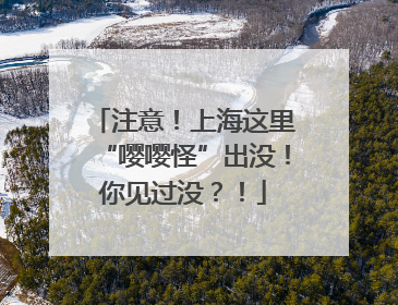 注意！上海这里“嘤嘤怪”出没！你见过没？！