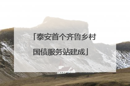 泰安首个齐鲁乡村国债服务站建成