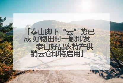 泰山脚下“云”势已成 好物出村一触即发——泰山好品农特产供销云仓即将启用