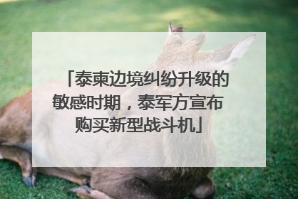 泰柬边境纠纷升级的敏感时期，泰军方宣布购买新型战斗机