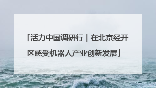 活力中国调研行｜在北京经开区感受机器人产业创新发展