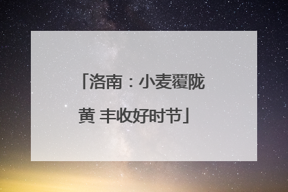 洛南：小麦覆陇黄 丰收好时节
