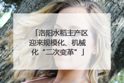 洛阳水稻主产区迎来规模化、机械化“二次变革”