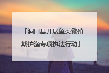 洞口县开展鱼类繁殖期护渔专项执法行动